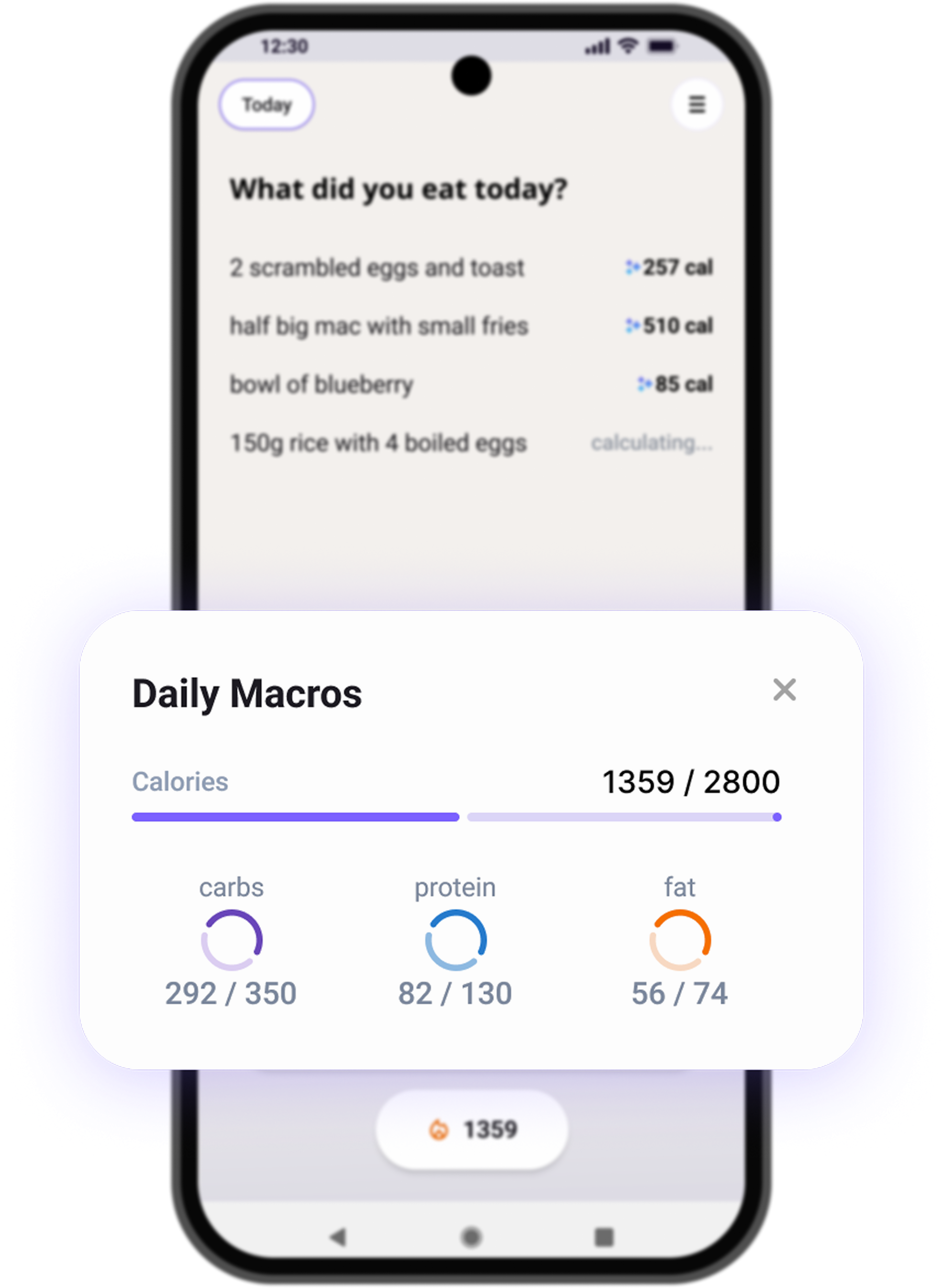 Daily macro tracking screen in CalNote mobile app